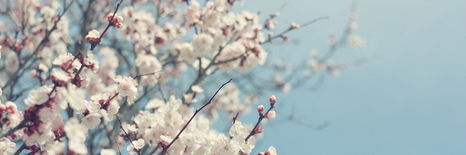 Nursing1RN's profile banner image