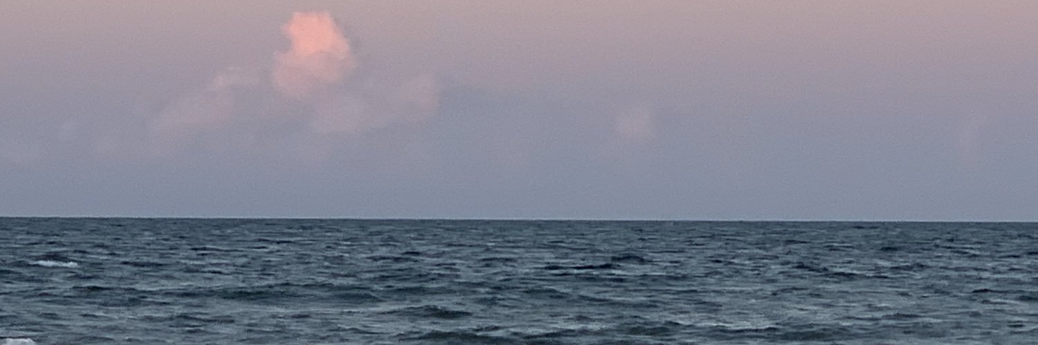 VickiT1's profile banner image