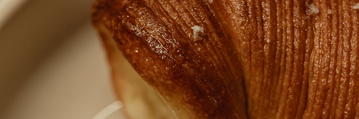 Gastro Editorial banner