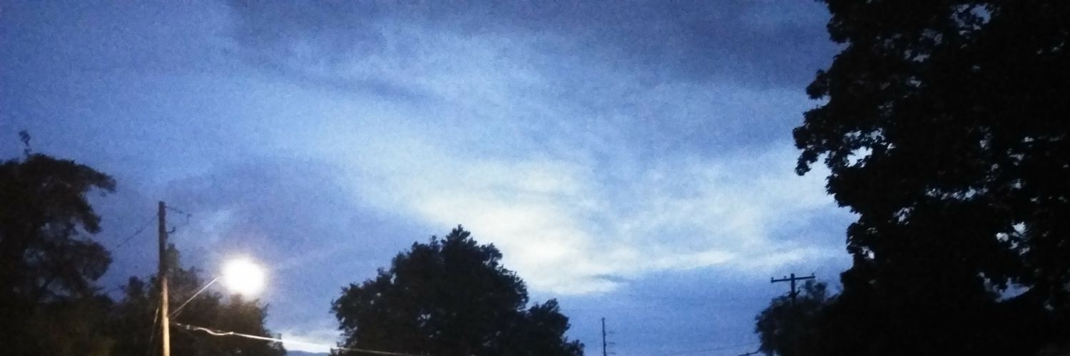 BannaBug801's profile banner image