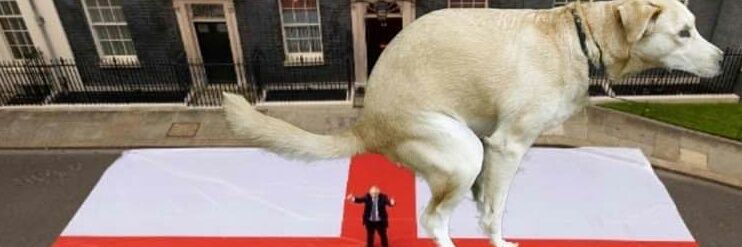 Martyn Pugh 💙🏴󠁧󠁢󠁷󠁬󠁳󠁿 banner