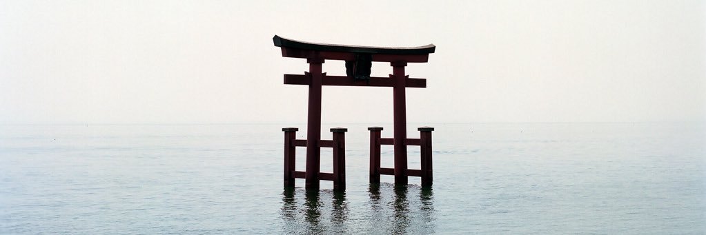 abonami21's profile banner image