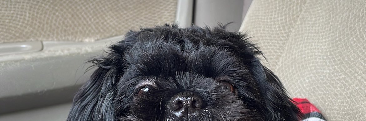 rossamirraa's profile banner image
