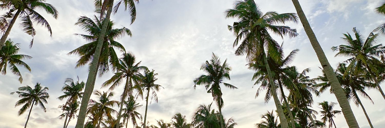 joenahtella's profile banner image