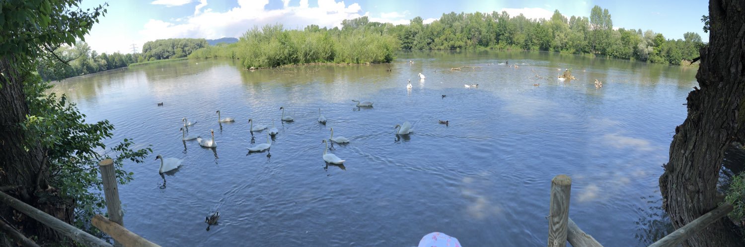 Martin Stangl banner