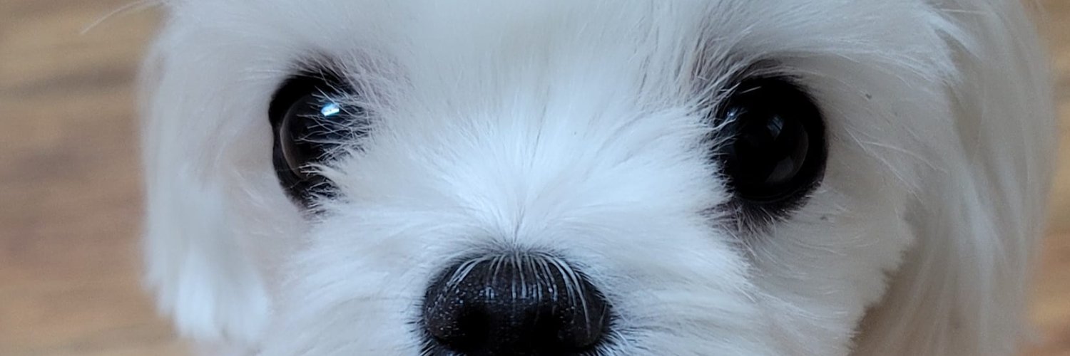 JeddVF's profile banner image