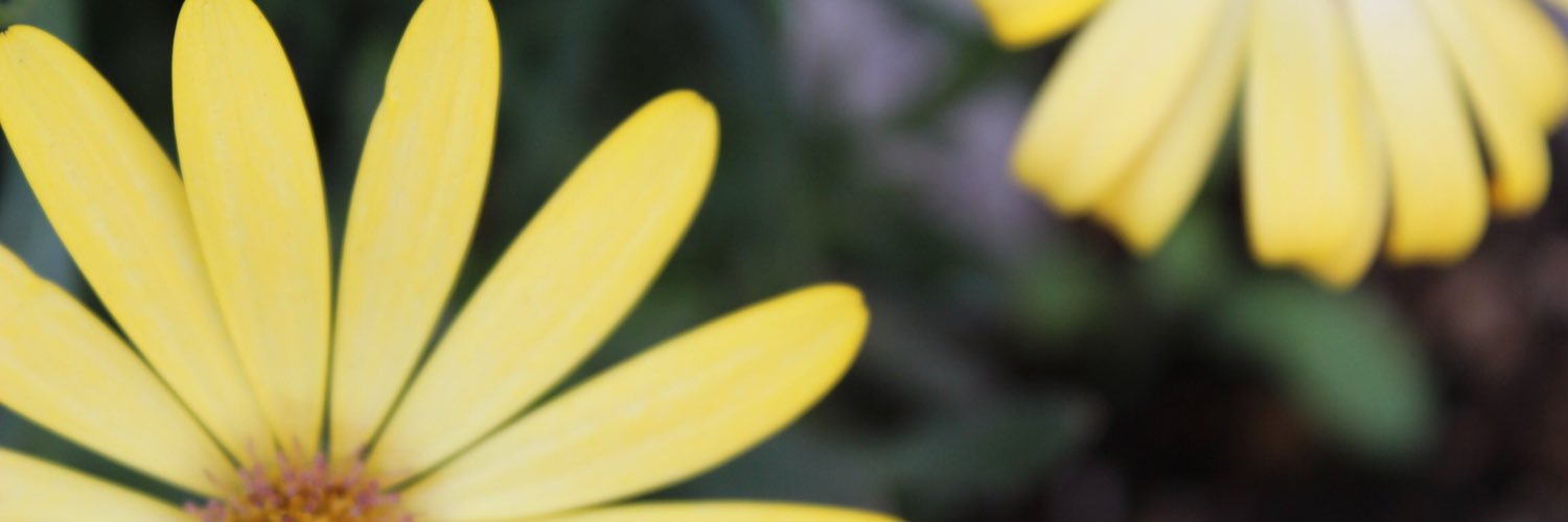 yune_1296's profile banner image