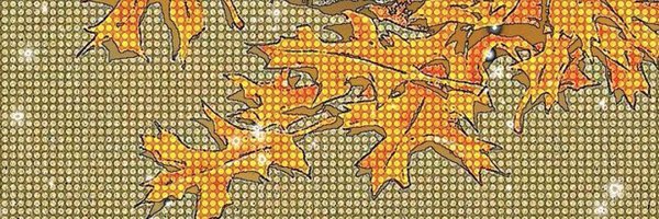 usedwifi Profile Banner