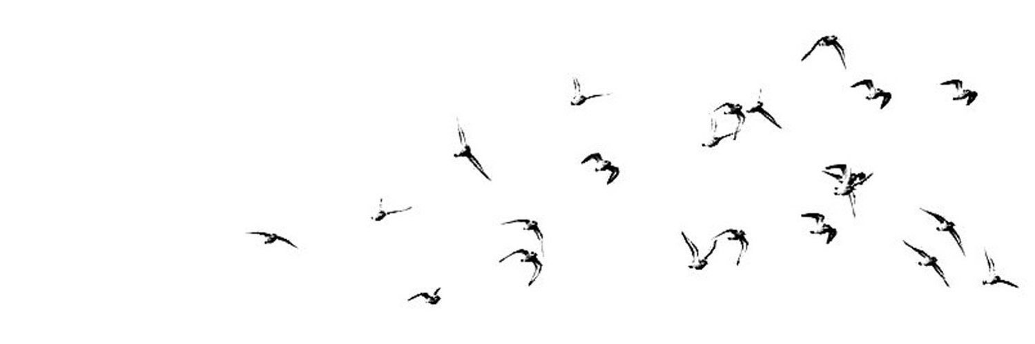 mas banner