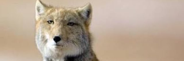 hl_set's profile banner image