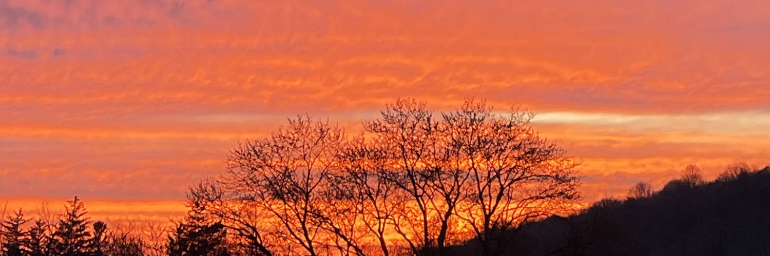 BitchesLoveTeen's profile banner image