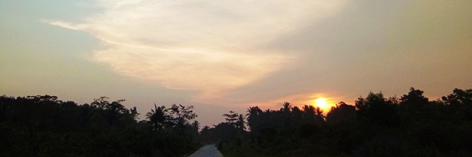 taekadanustie's profile banner image