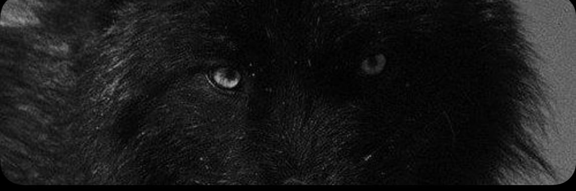 IeoK_'s profile banner image