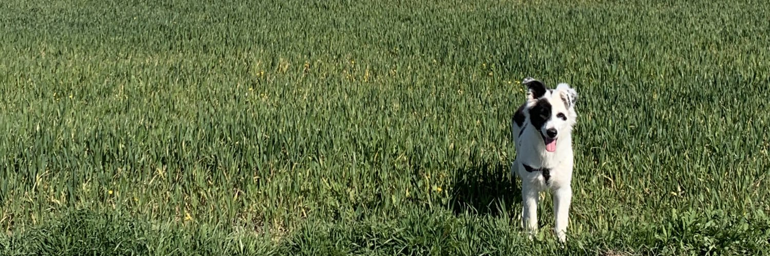 Laramozon's profile banner image