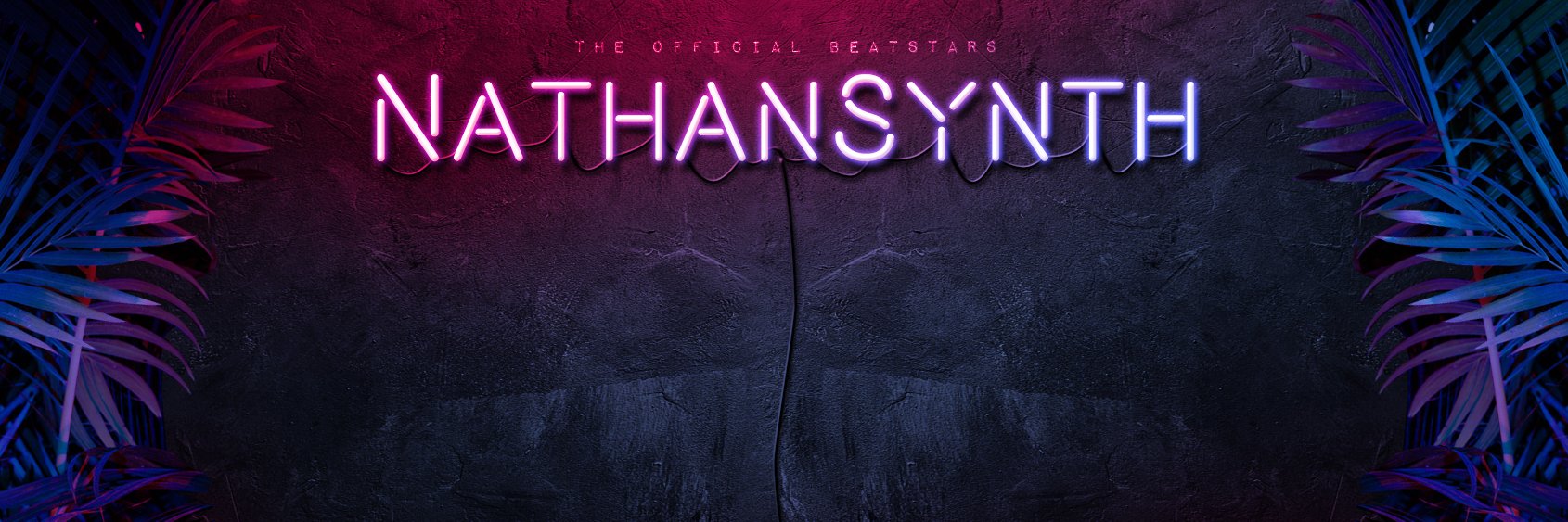 NathanSynth's profile banner image