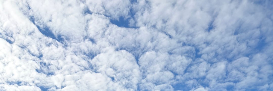 CDjkw1's profile banner image
