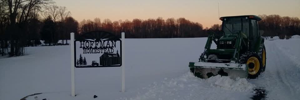 T. Hoffman❄️☃️ banner