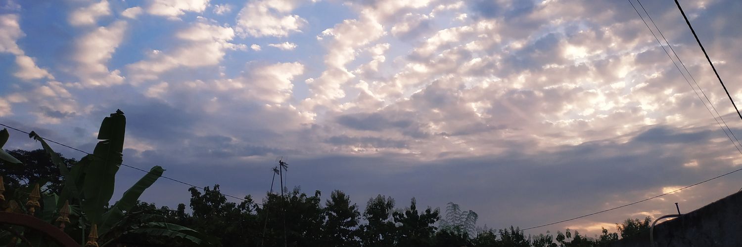 firlymj's profile banner image
