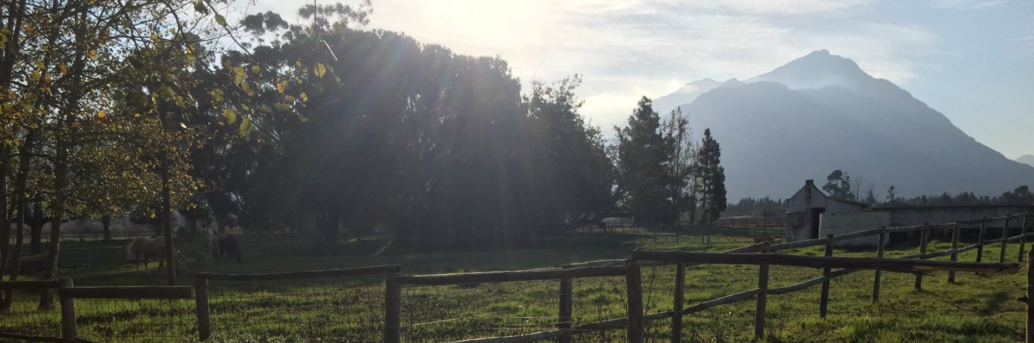 warwick_cross's profile banner image