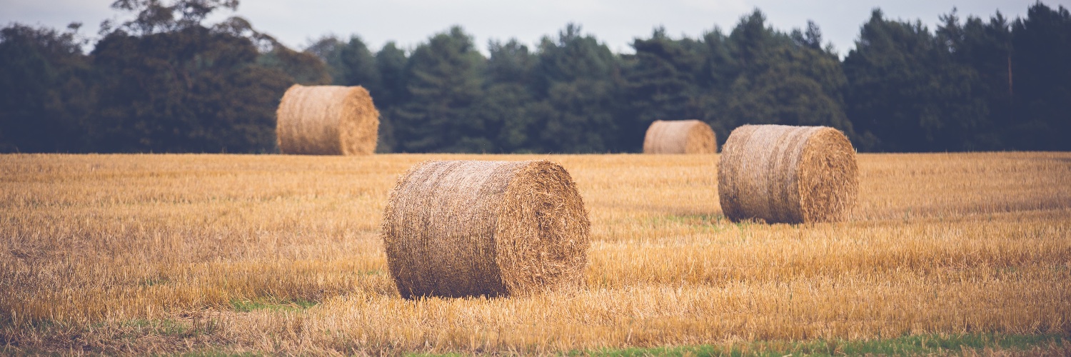 Nuffield Farming banner