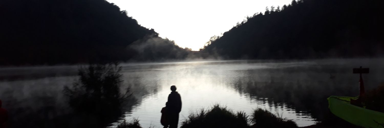 novapans's profile banner image
