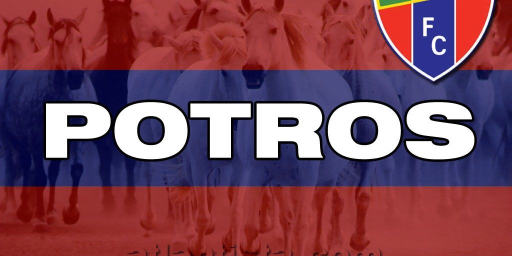 kokepotro1's profile banner image