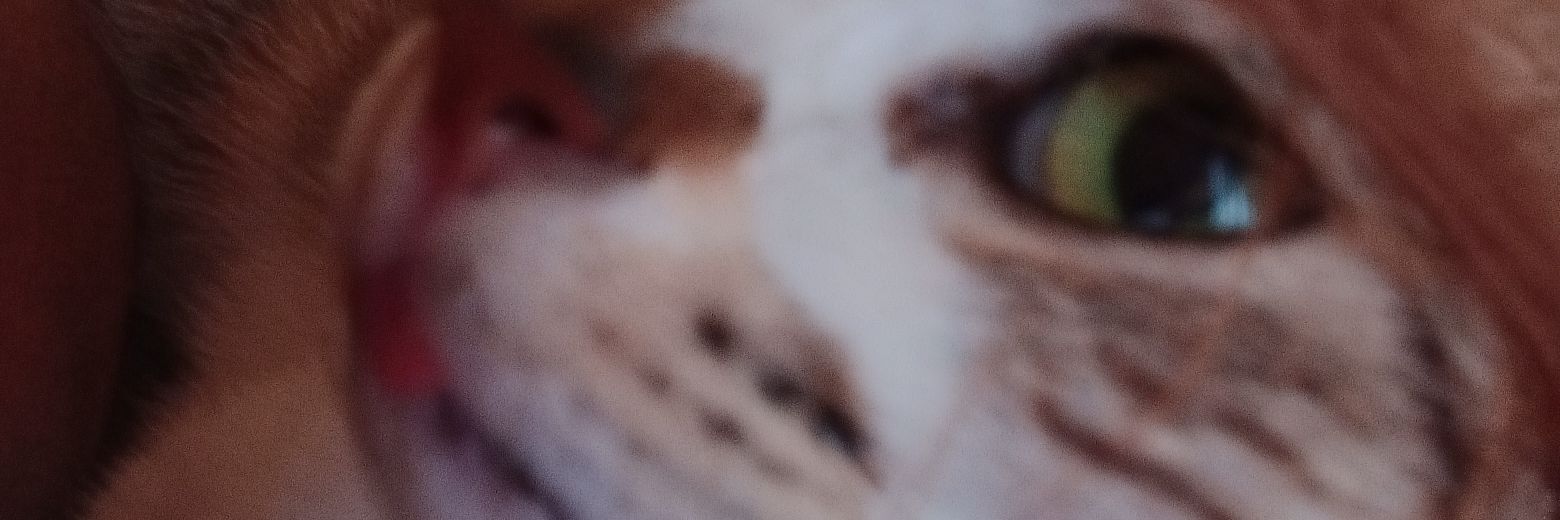 Sevent1701's profile banner image