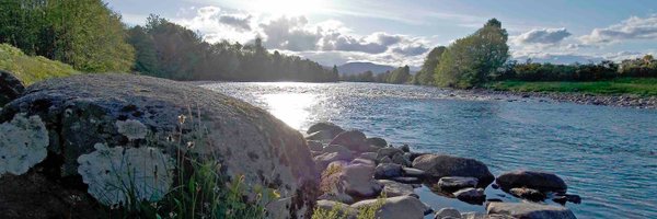 FishPal Profile Banner