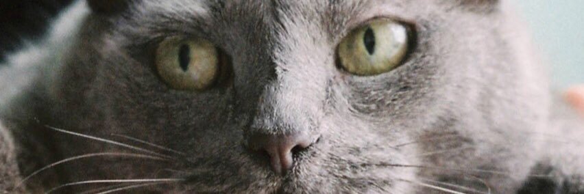ntwptnp's profile banner image