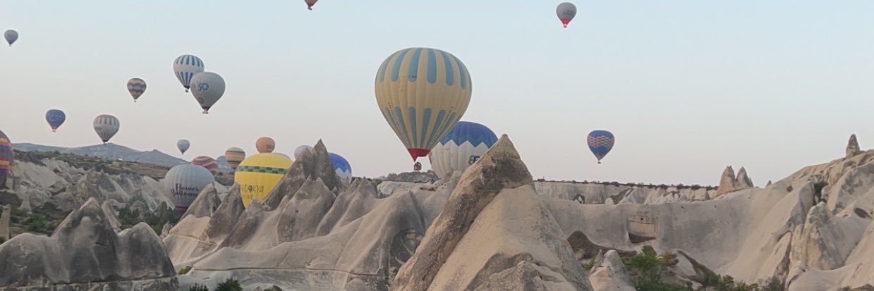 Reham F. Gassas banner