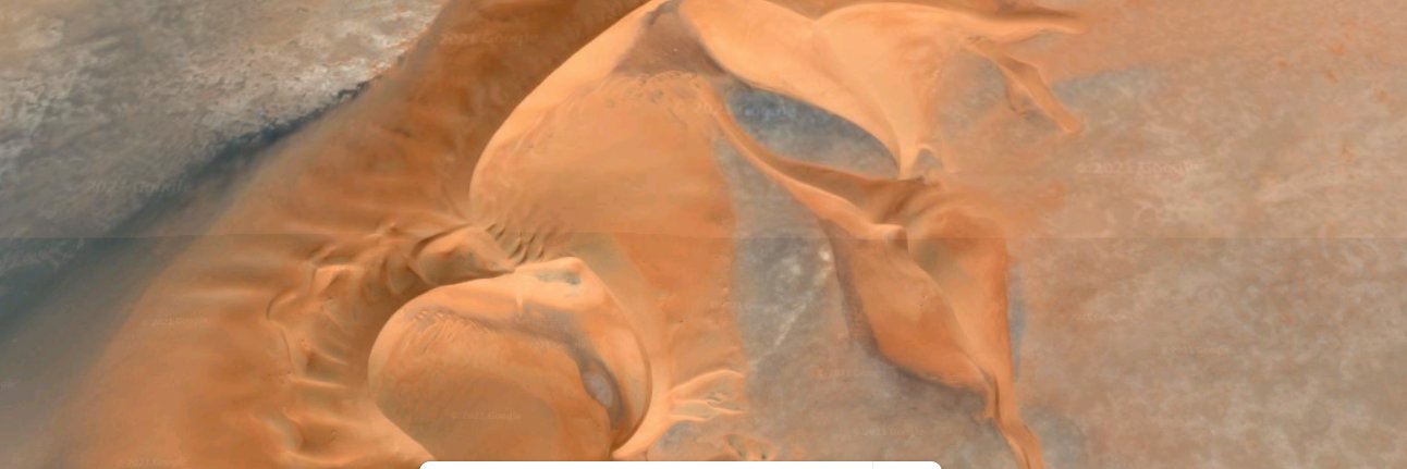 NeLLLieBly's profile banner image