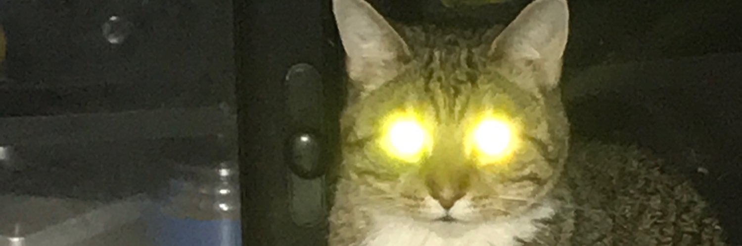 Baingo's profile banner image