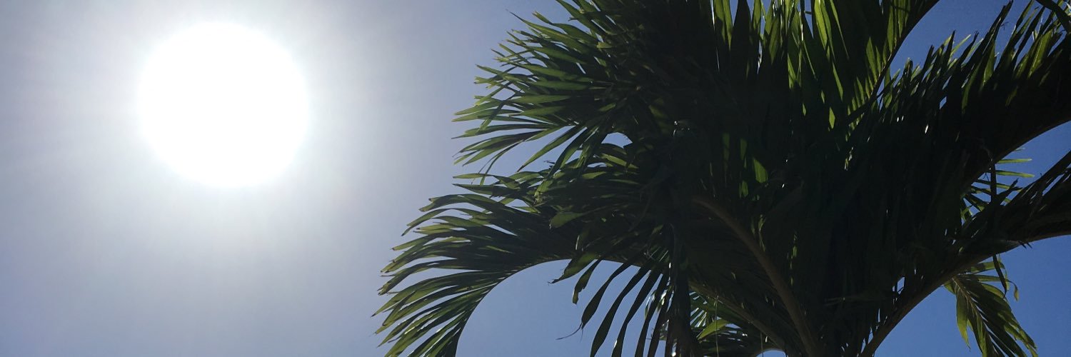 hllj_chance's profile banner image