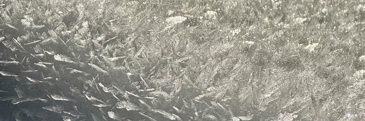 NeleGies1's profile banner image