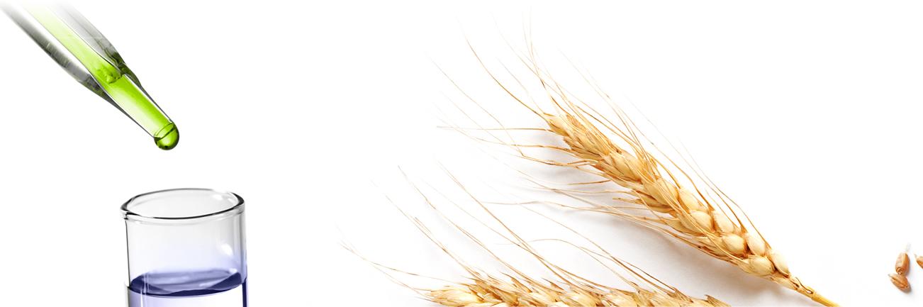 ccabarry's profile banner image