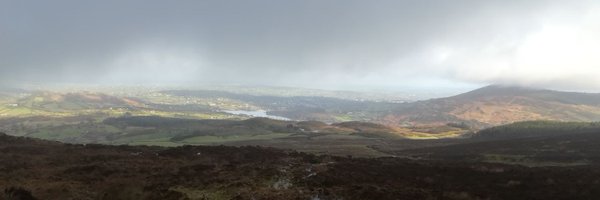 iprimrose Profile Banner