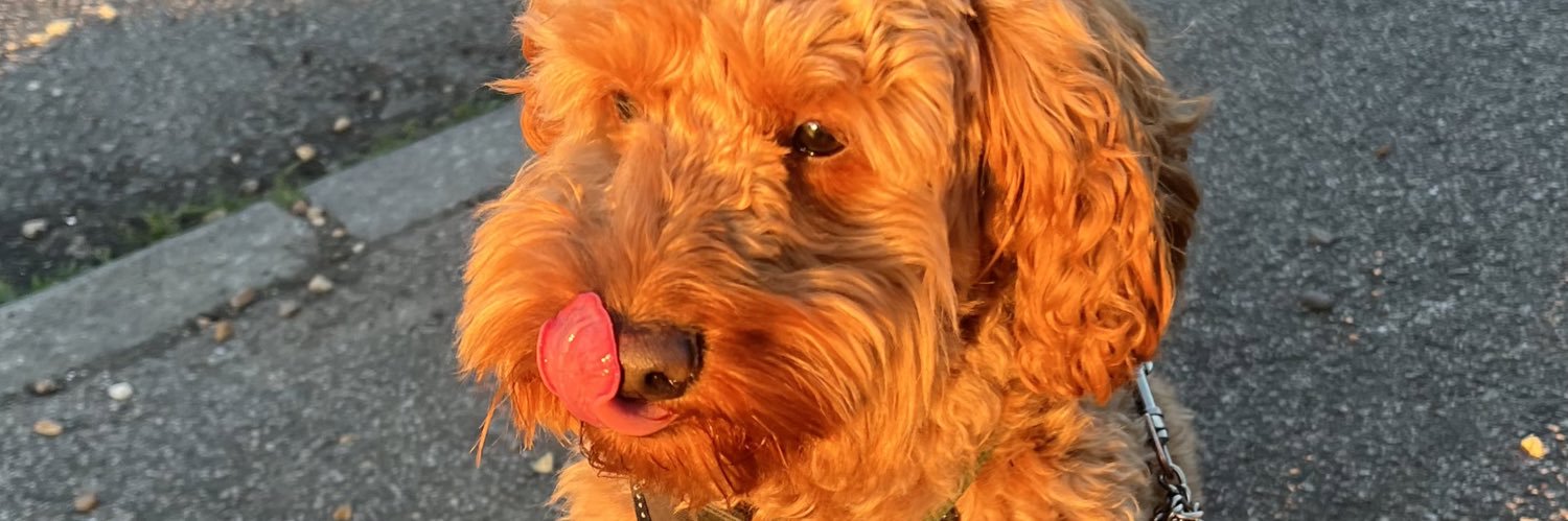 izzyario's profile banner image