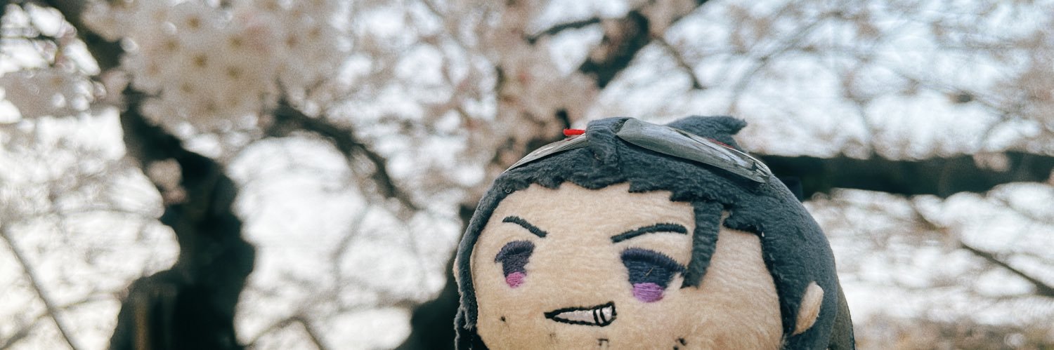 calioca's profile banner image