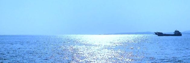 fneshani's profile banner image