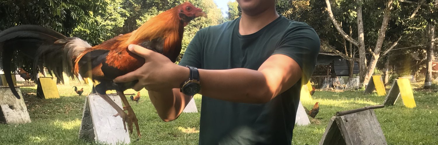 JanneilPogs's profile banner image