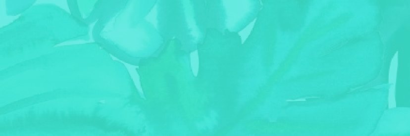 Emilie CELLIER banner