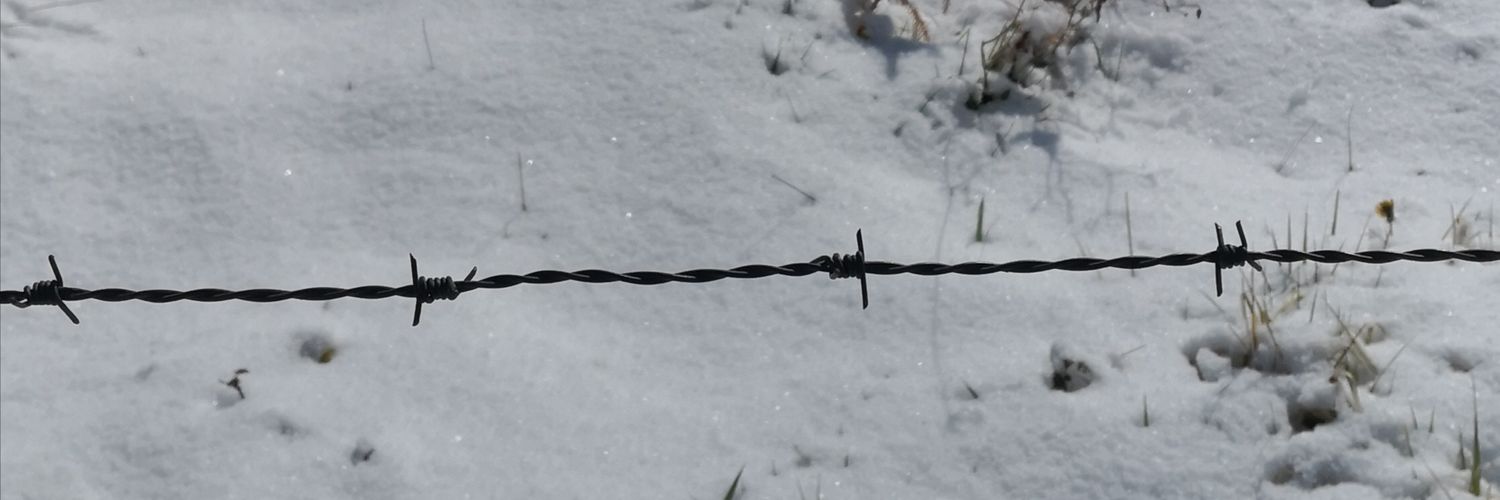 mcaalvar's profile banner image