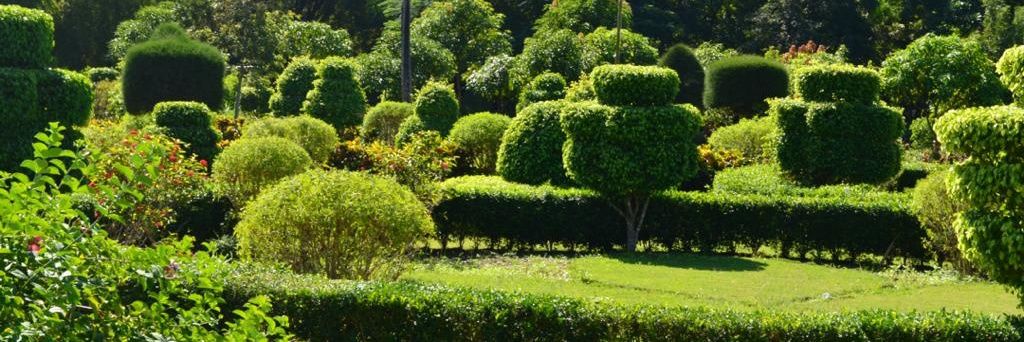 JardinBotaniquecayes banner