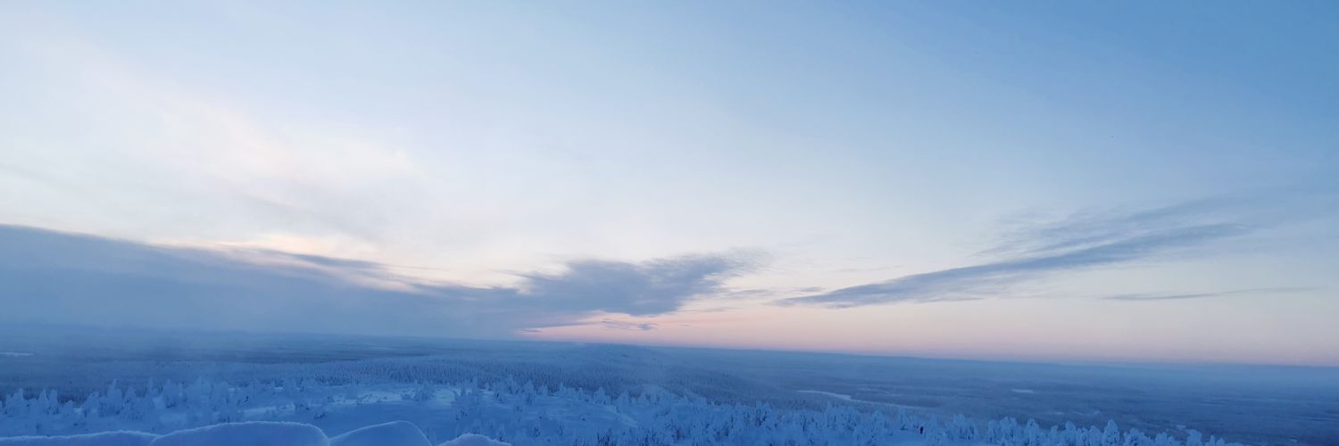 Riikka Mustonen banner