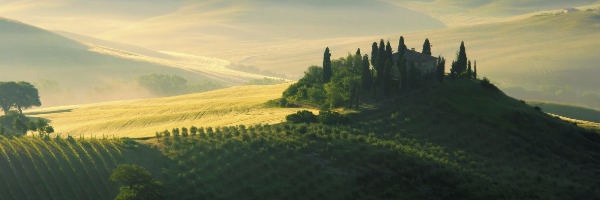 FromVineyardsDirect banner
