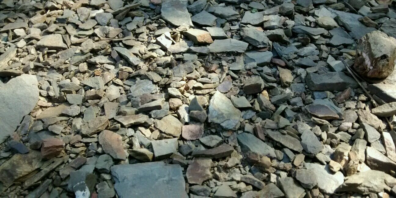 Núria Serret banner