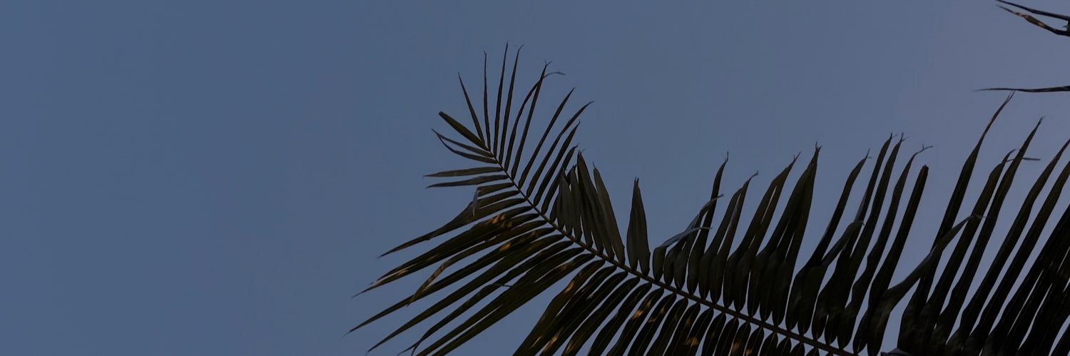 Yadelurzz's profile banner image