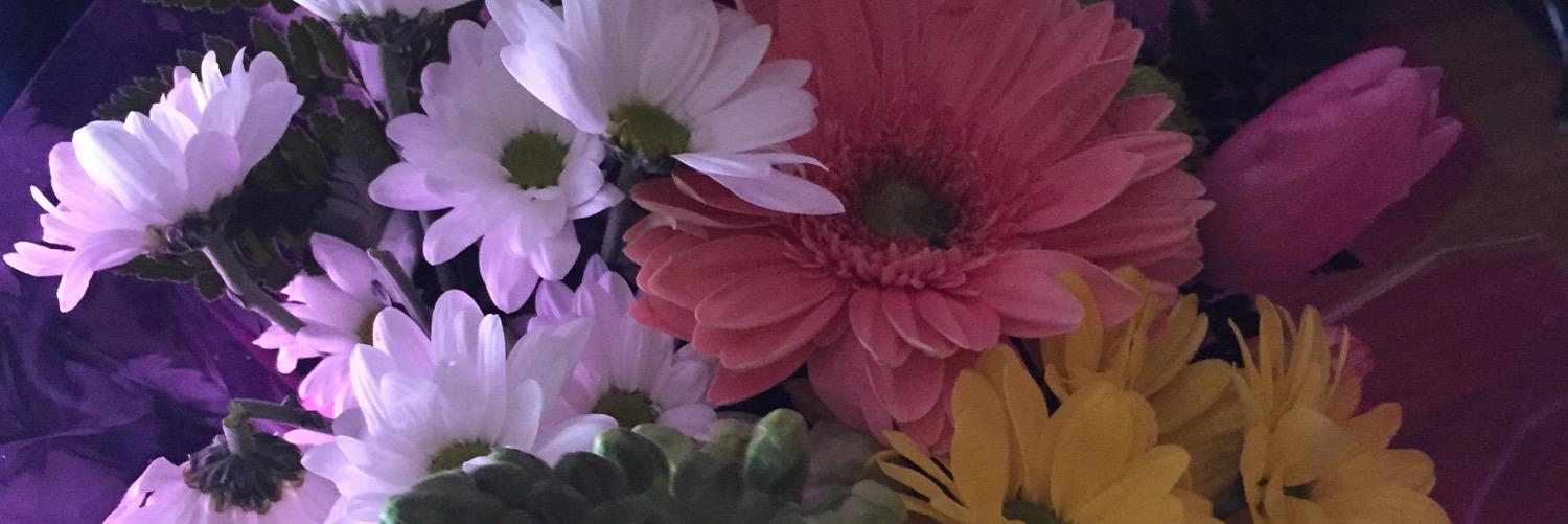 MariaBenaque's profile banner image