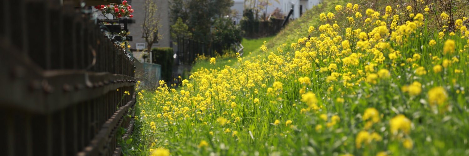 utarow0904's profile banner image