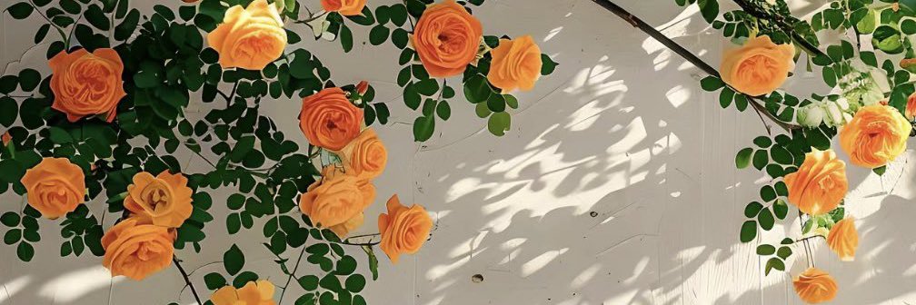 mrvnrcrn2's profile banner image